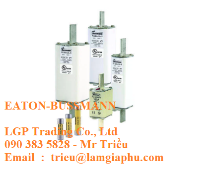 Busmann viet nam