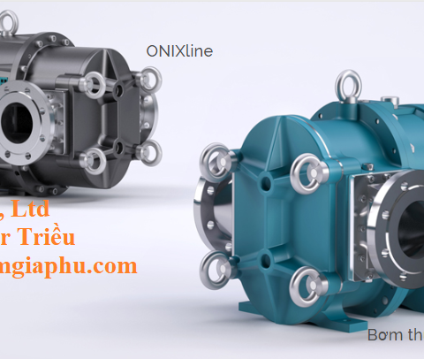 Máy bơm thùy quay The Boerger BLUEline