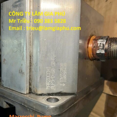 Pump hóa chất Marzocchi