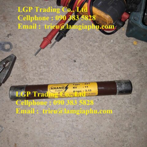 Cầu chì Anand Type AVT