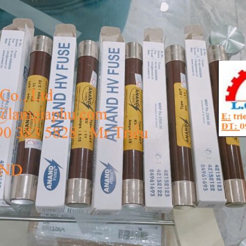 Cầu chì ANAND FGPT1000022: PT Fuse 10.5 kV; 3.15A, Type: AVT-X