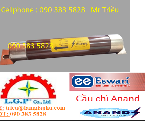 Anand VT Fuse