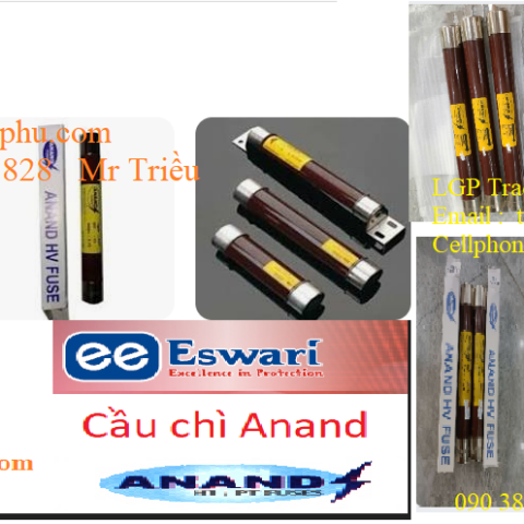 Cầu chì ESWARI (ANAND) FGPT1000024